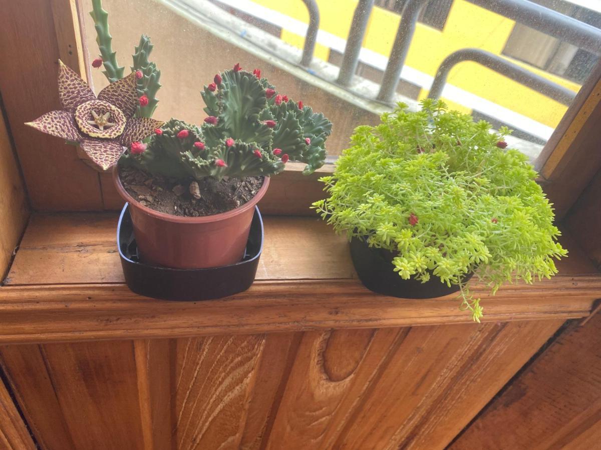 Hostal Grand Rio Baños Dış mekan fotoğraf